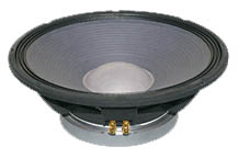 GW15120 PA Speaker
